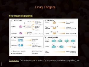 Drug Targets Four major drug targets BIMM 118