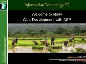 WebDev Program Information TechnologyIT Management Information System SETEC