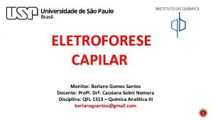 INSTITUTO DE QUMICA ELETROFORESE CAPILAR Monitor Berlane Gomes