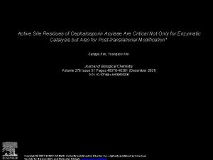 Active Site Residues of Cephalosporin Acylase Are Critical