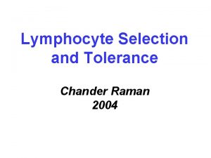 Lymphocyte Selection and Tolerance Chander Raman 2004 Lecture
