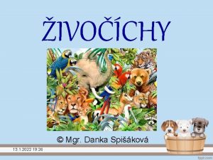 IVOCHY Mgr Danka Spikov 13 1 2022 19