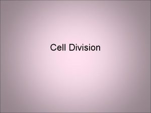 Cell Division Mitosis What is Mitosis Mitosis is