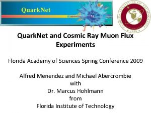 Quark Net and Cosmic Ray Muon Flux Experiments