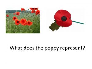 What does the poppy represent In Flanders Fields