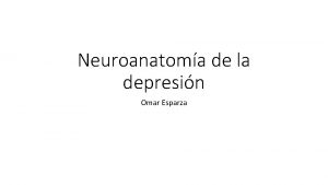 Neuroanatoma de la depresin Omar Esparza INTRODUCCIN Imagen
