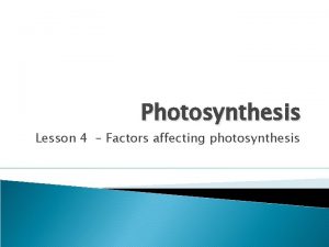 Photosynthesis Lesson 4 Factors affecting photosynthesis Learning outcomes