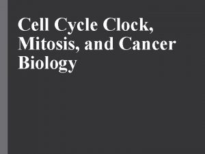 Cell Cycle Clock Mitosis and Cancer Biology Cell