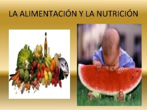 LA ALIMENTACIN Y LA NUTRICIN TERMINOLOGA La alimentacin