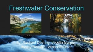 Freshwater Conservation By Rachael Dearing Jocelin Montiel Ashley