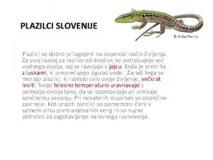 PLAZILCI SLOVENIJE Plazilci so dobro prilagojeni na kopenski