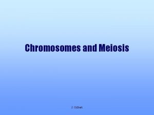 Chromosomes and Meiosis J Gilbert DNA and Chromosomes
