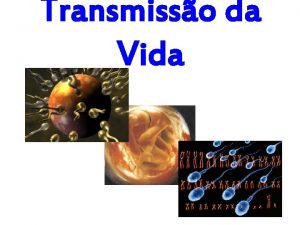 Transmisso da Vida Morfofisiologia do sistema reprodutor feminino