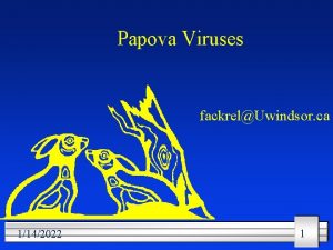 Papova Viruses fackrelUwindsor ca 1142022 1 Papova Viruses