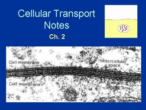 Cellular Transport Notes Ch 2 About Cell Membranes