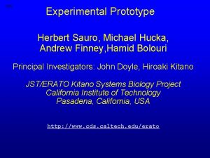 Intro Experimental Prototype Herbert Sauro Michael Hucka Andrew