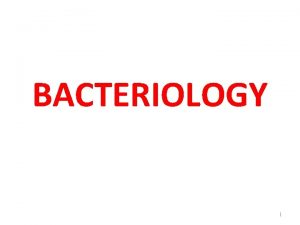 BACTERIOLOGY 1 THE GENUS STAPHYLOCOCCUS Dr T V