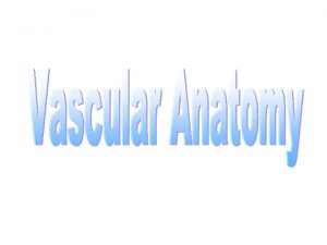 Subclavian Artery Begins Right is a branch of