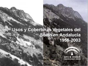 Usos y Coberturas Vegetales del Suelo en Andaluca