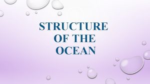 STRUCTURE OF THE OCEAN TIDAL ZONES INTERTIDAL ZONE