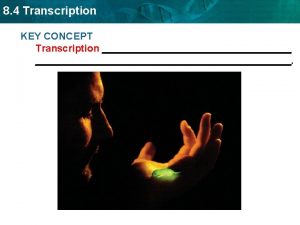 8 4 Transcription KEY CONCEPT Transcription 8 4