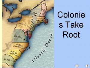 Colonie s Take Root The Southern Colonies The