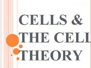 CELLS THE CELL THEORY CELL OVERVIEW Cells are