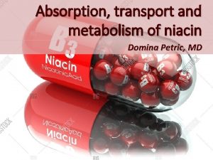 Absorption transport and metabolism of niacin Domina Petric