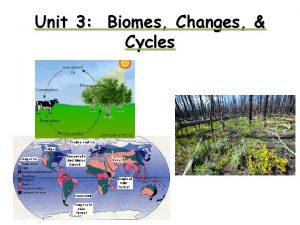 Unit 3 Biomes Changes Cycles Cycles of Matter