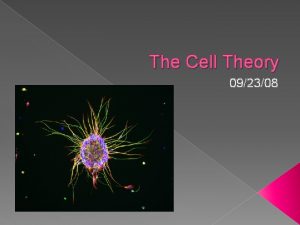 The Cell Theory 092308 The Cell Theory Curiosity