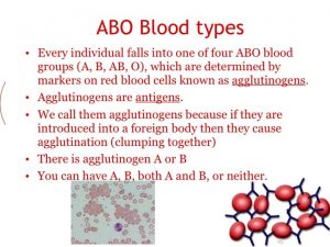 And antiB Blood types cont In addition to