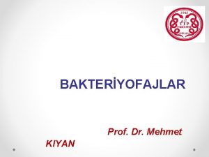 BAKTERYOFAJLAR Prof Dr Mehmet KIYAN Bakteriyofajlar Bakteriyofajlar faj