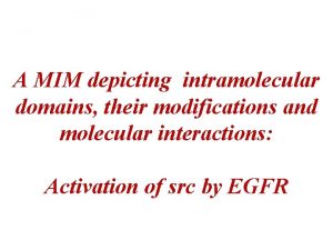 A MIM depicting intramolecular domains their modifications and A MIM depicting intramolecular domains their modifications and