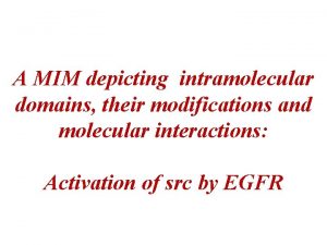 A MIM depicting intramolecular domains their modifications and