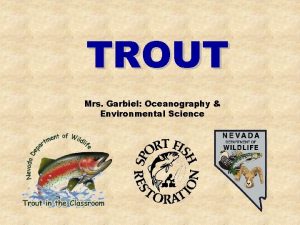 TROUT Mrs Garbiel Oceanography Environmental Science Salmon Family