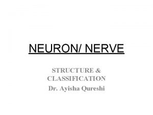 NEURON NERVE STRUCTURE CLASSIFICATION Dr Ayisha Qureshi A