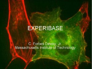 EXPERIBASE at the NCBO Image Ontology Workshop EXPERIBASE