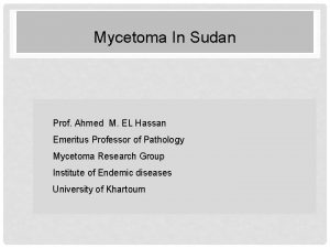 Mycetoma In Sudan Prof Ahmed M EL Hassan