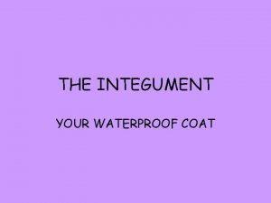THE INTEGUMENT YOUR WATERPROOF COAT FUNCTIONS Maintains homeostasis