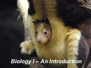 Biology The Study of Life Biology I An