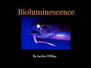 Bioluminescence By Jackie ORiley What is bioluminescence Bio