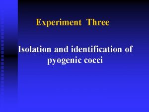 Experiment Three Isolation and identification of pyogenic cocci