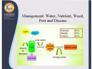 Management Water Nutrient Weed Pest and Disease Approaches