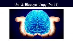 Unit 3 Biopsychology Part 1 The Brain The