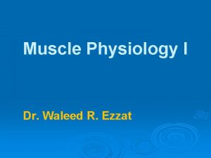 Muscle Physiology I Dr Waleed R Ezzat Introduction