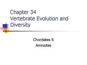 Chapter 34 Vertebrate Evolution and Diversity Chordates 6