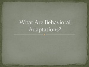 What Are Behavioral Adaptations instinct a behavior an