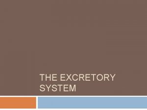 THE EXCRETORY SYSTEM Excretory System Some call it