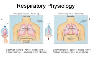 Respiratory Physiology Diaphragm contracts increase thoracic cavity vl