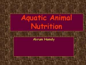 Aquatic Animal Nutrition Akrum Hamdy Course Syllabus Study